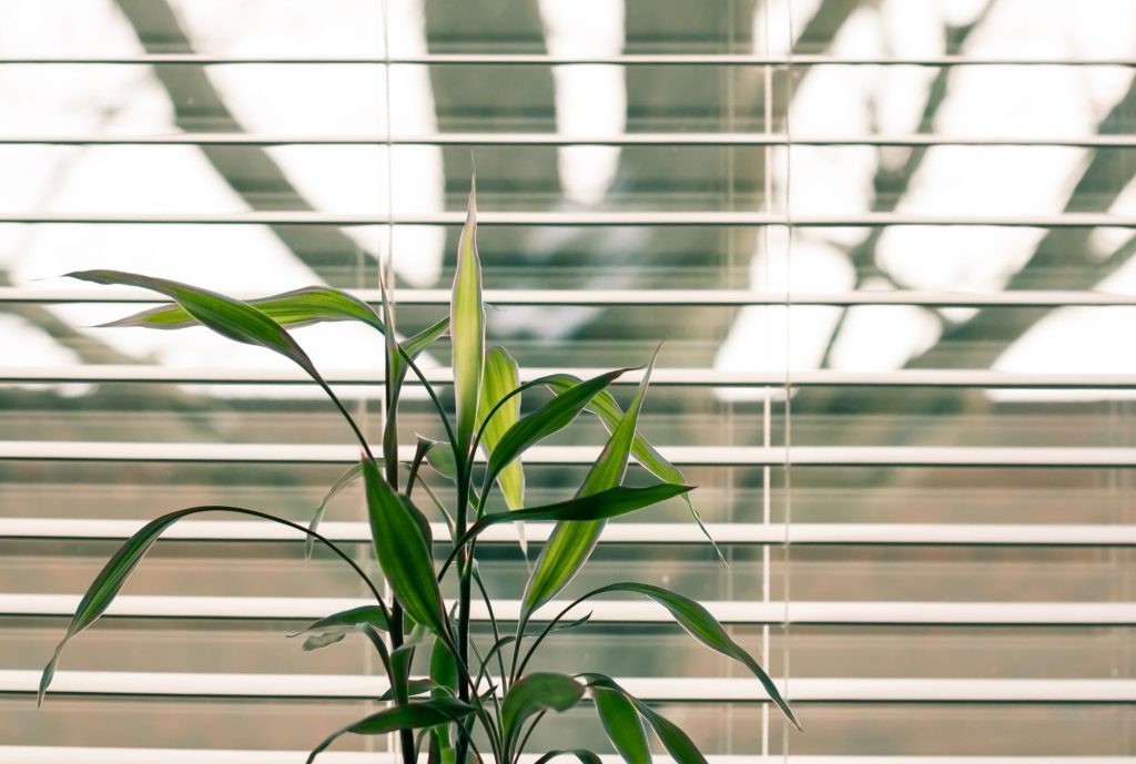 Blinds hero